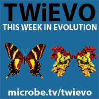 TWiEVO 20: In the company of cnidarians