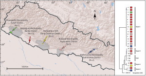Map showing Nepal highlighting the affected outbreak areas.