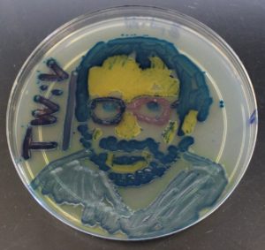 profvrr in agar