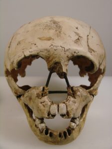 Homo_neanderthalensis_face_(University_of_Zurich)