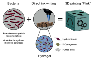 3D printing bacteria