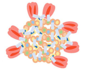 influenza protein nanoparticle