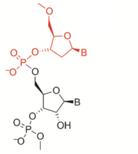 dna-rna