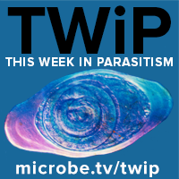 TWiP 138: Telmophages and the skin parasite landscape