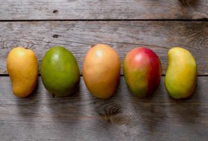 Mango varieties