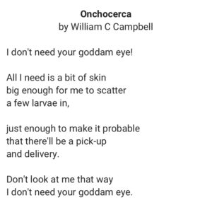 Onchocerca by William C Campbell