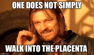 One does not simply walk into the placenta