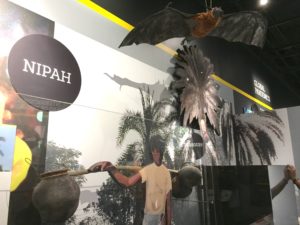 Nipah at Outbreak Exhibit