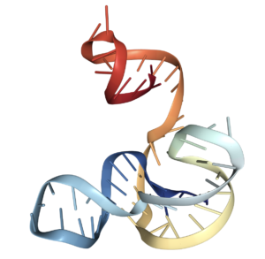 subgenomic flavivirus RNA