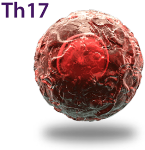 Th17 cells