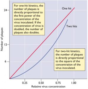 Dose response plaque assay