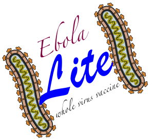 Ebola lite