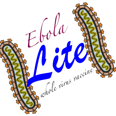 TWiV 335: Ebola lite