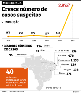 Microcephaly, Brazil