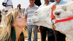 kissing a camel