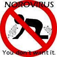 norovirus