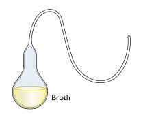 pasteur-swan-neck-flask