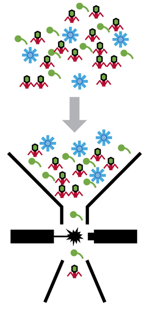 single virion genomics