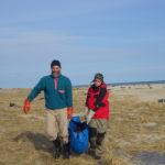 weighing-gray-seal