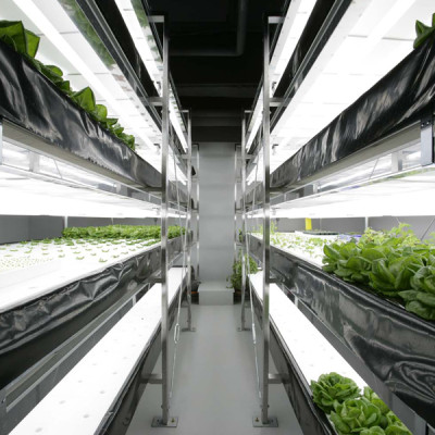 Urban Agriculture 6: The nuts and bolts of indoor farming
