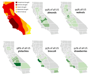 California drought and crops