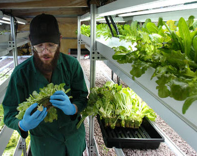 Urban Agriculture 8: Green Farms A&M