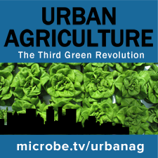 Urban Agriculture 21: Kiss and tell