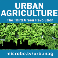 Urban Agriculture 25: Standing Tall