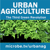 Urban Agriculture 29: Gotham Greens