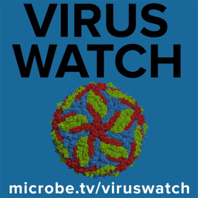 Are viruses alive?
