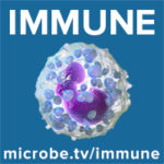 Immune 73: Big macs