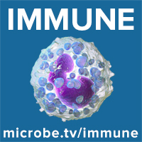 Immune 50: Red blood cells are immune sentinels