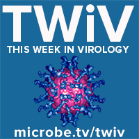 TWiV 856: COVID-19 clinical update #98 with Dr. Daniel Griffin