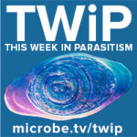 TWiP 230: Healing cutaneous leishmaniasis with Maria Adelaida Gomez