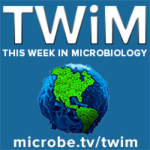 TWiM 276: Bacterial multicellularity near an underground stream