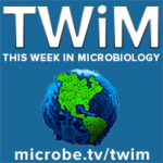 TWiM 303: Can our microbiome break our hearts?