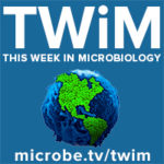 TWiM 267: The honey badger of pathogens with Heran Darwin