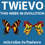 TWiEVO 95: Watering the viruses until they bloom